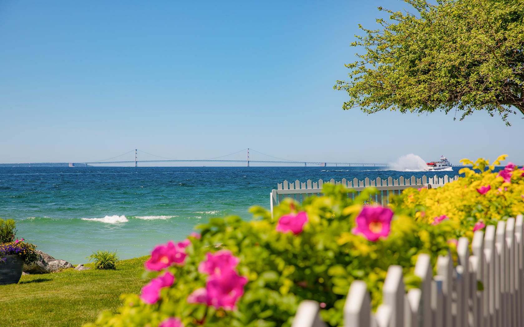 Out-of-focus flowers looking onto Lake Michigan and the Mackinac Bridge.