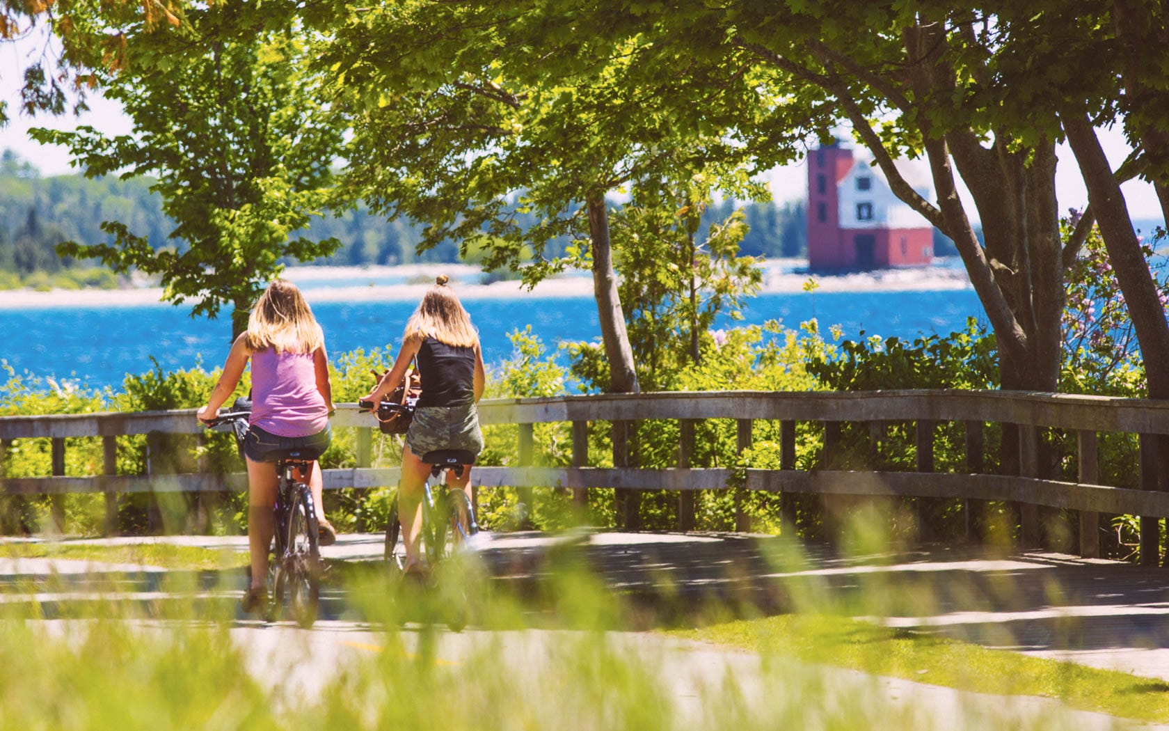 Two women riding bicycles down a street with trees.
