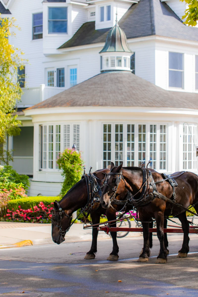 a horse-drawn carriage in front of the Hotel Iroquois.