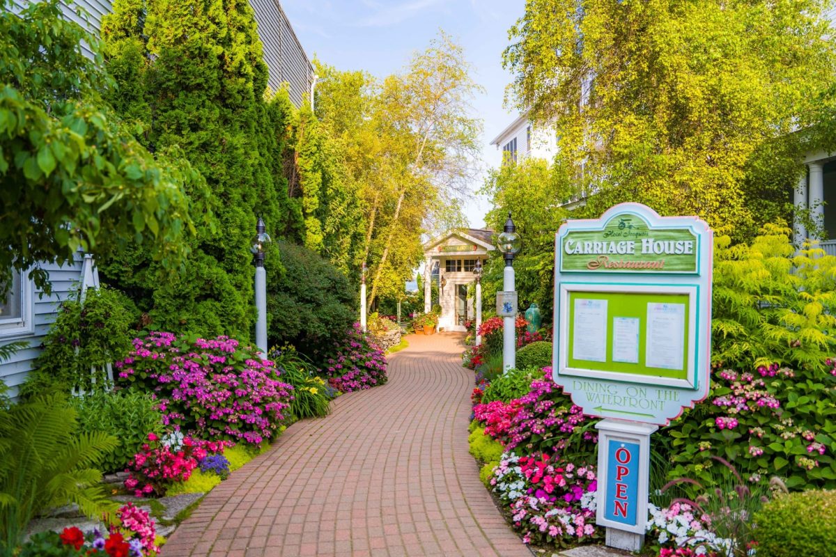A stone walkway through beautiful garden on either side of flower and tree.