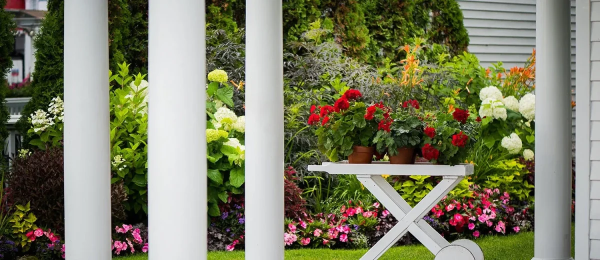 Red plants on a white table in front of a garden.
