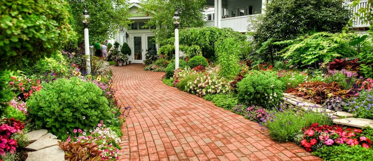 A brick path with a garden on either side leading to a white building with glass doors.