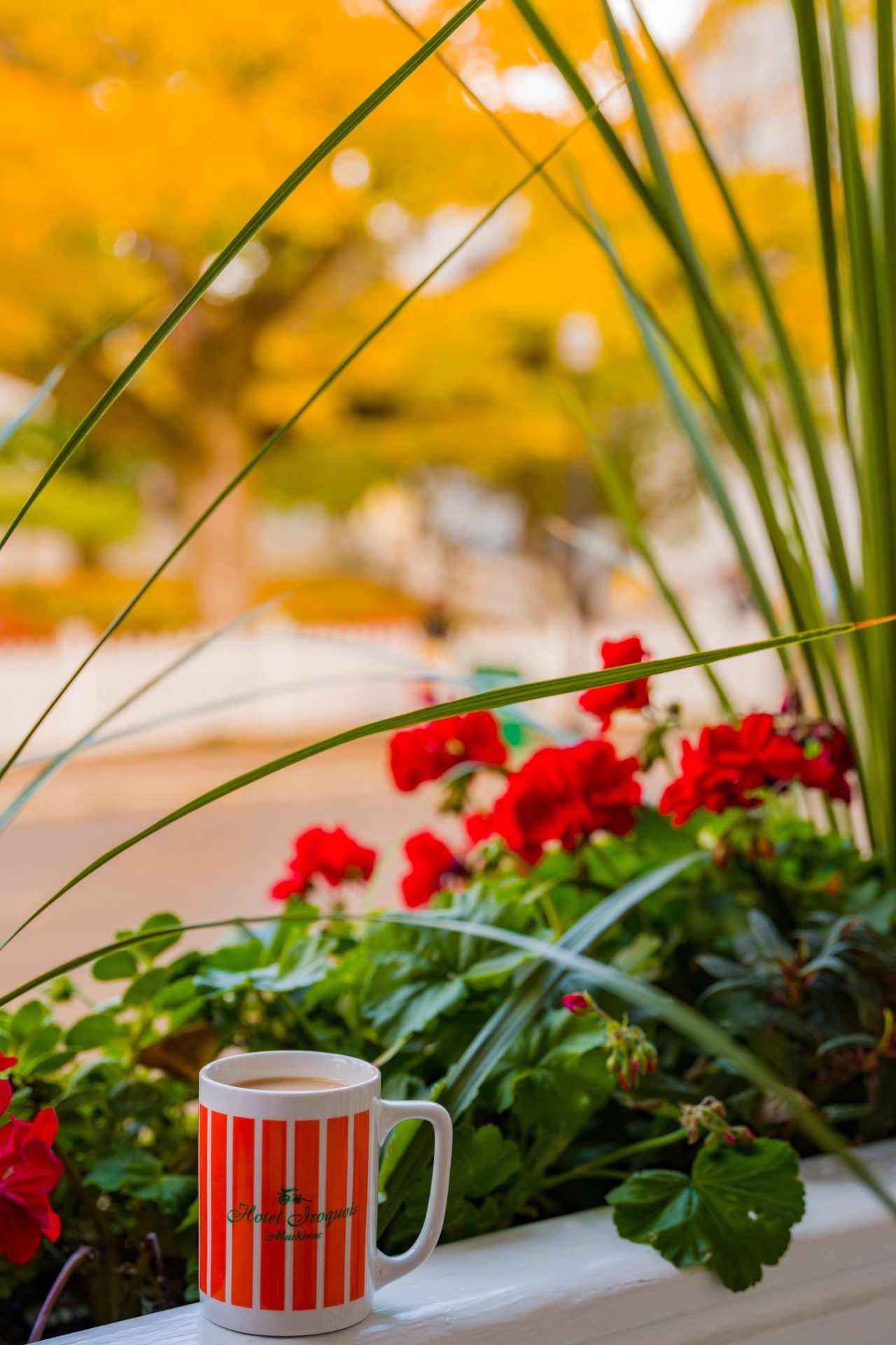 A coffee cup with hotel Iroquois printed on it in front of a pretty flower backdrop.