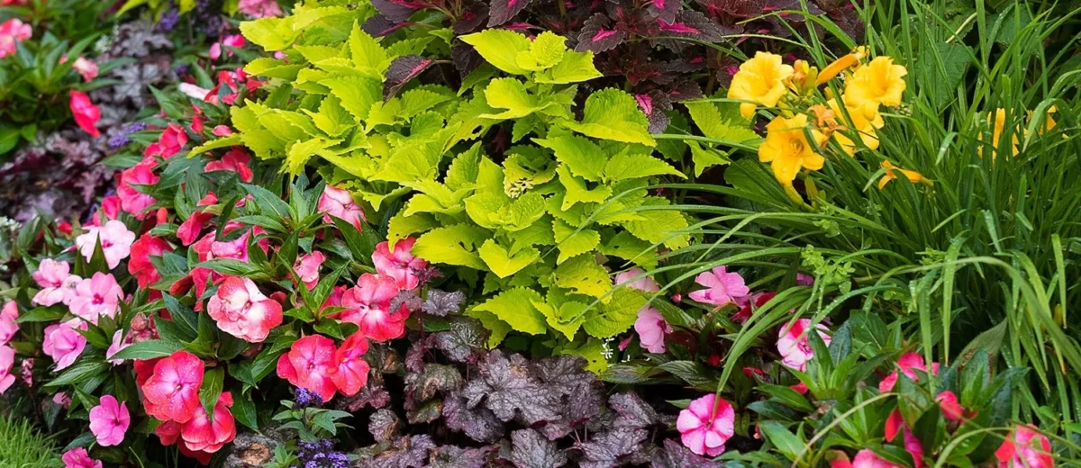 an arrangement of varying wild flower and vegetation.